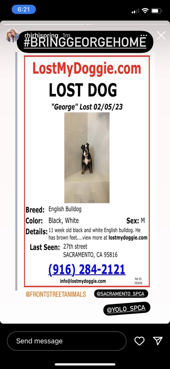 Julie Campbell (@missjcampbell1) on Twitter photo 