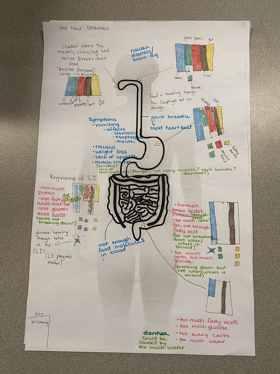KiraVanWinkle's tweet photo. #greenmeansgo ๐ High quality instructional materials make a HUGE difference in students' ability to be engaged, excited, and curious about the world around them. So happy to be one of the 48K teachers using the #openscied curriculum in my classroom! #allgoodallgreen #edreports https://t.co/vAO6qi8iLo