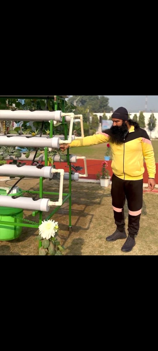 NeetuIn18401790's tweet image. आंर्गैनिक खेतीके लिए Saint Gurmeet Ram Rahim जी ने कृषि भूमि की आवश्यकता के बिना और कम से कम पानी के साथ फसल उगाने का तरीका साझा किया। गुरुजी द्वारा दिए गए सुझावों के माध्यम से हम सीख सकते हैं #AdvancedFarming
#OrganicFarming