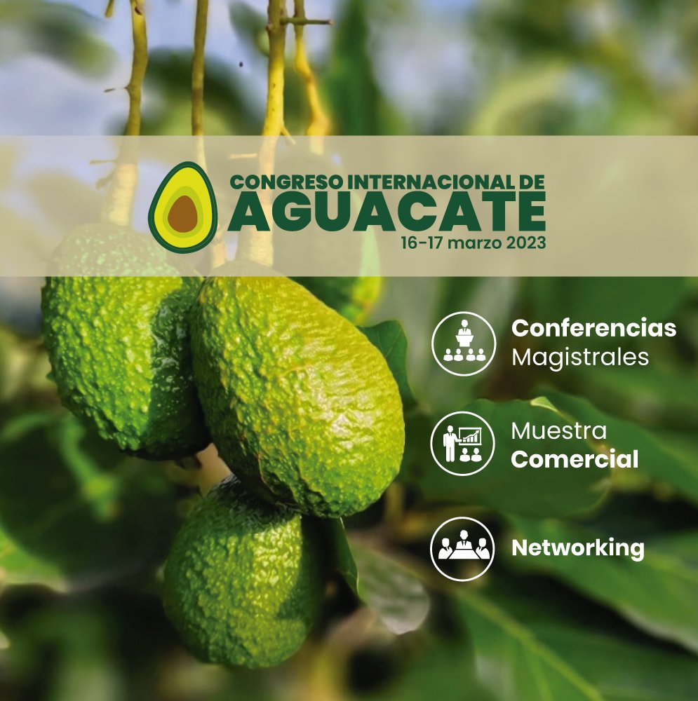 globalforumec's tweet photo. 📣 #CongresoInternacional de Aguacate 🥑🥑
El evento aguacatero más importante del año:
 ✅ Conferencias magistrales.
 ✅ Muestra comercial.
 ✅ Networking.
👨‍🏫 Expositores: Chile, Ecuador, México, Colombia y Perú.
📅 Ibarra, 16-17 marzo 2023
➡️ Información 0998091578 https://t.co/MIavP1IDoy