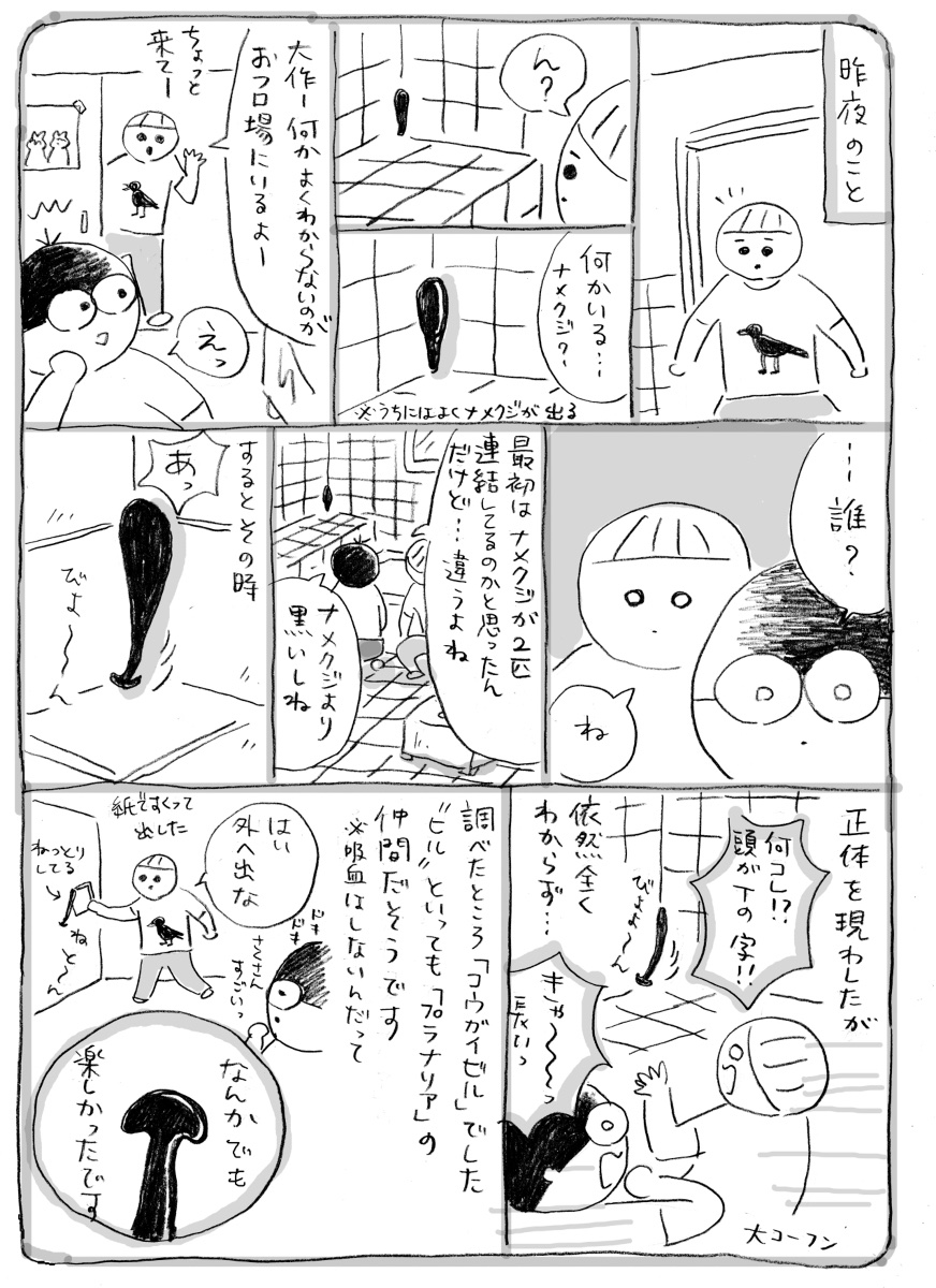 誰?(再掲載)
#さくまのまんが 