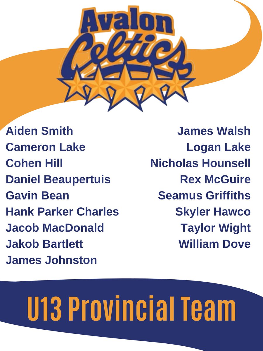 AvalonCelticsU13C tweet media