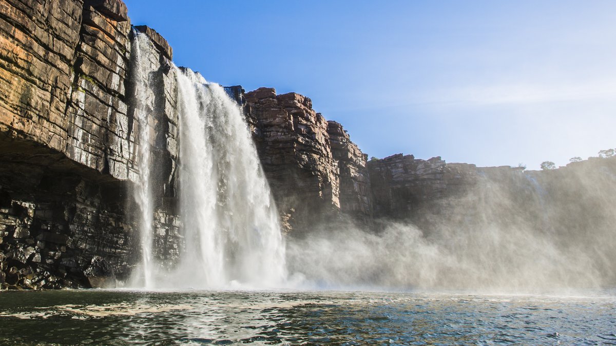 True North tweet media