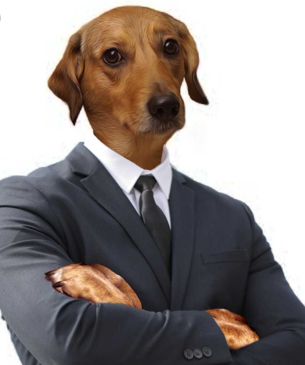 PAULO VIEIRA tweet media