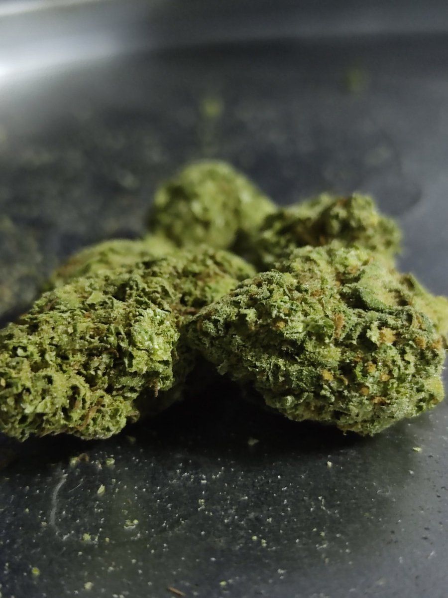 ChineseHd420's tweet image. Cómo algo tan pequeño nos puede dar tanta felicidad 😅🍁
#life420 #WeedLovers #Good_vibes