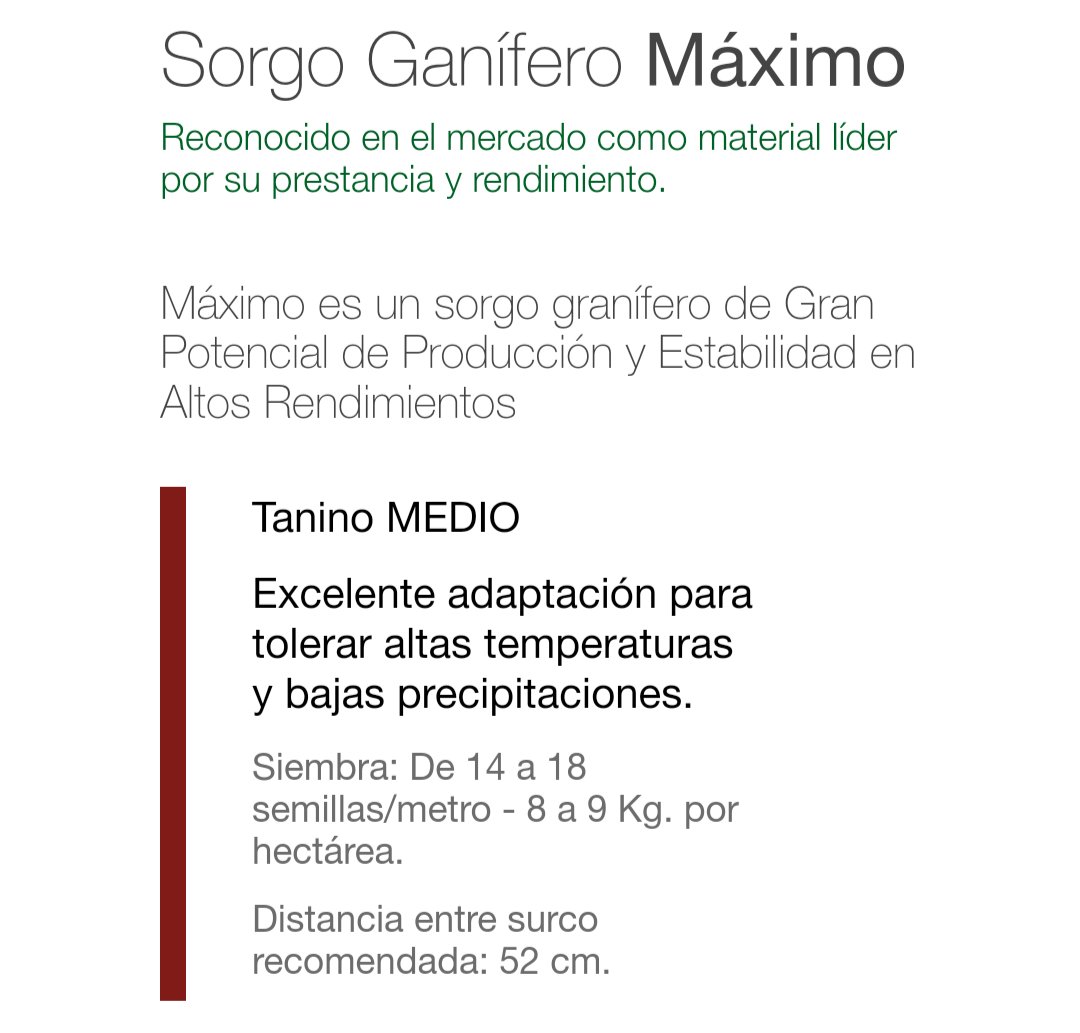 el_sorgal's tweet photo. Sorgo granifero MÁXIMO
#sorgo #sorgogranifero #sorgohibrido https://t.co/RUdJXs3vAB