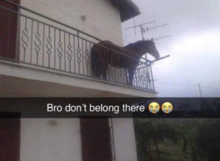 <a href="/BrooklynNets/">Brooklyn Nets</a> <a href="/24_camthomas/">Cam Thomas</a> Cam bing stuck in the bench