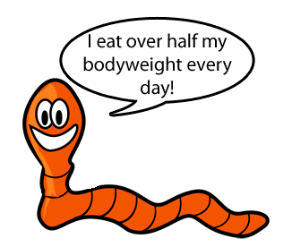 HongliangHu's tweet photo. Growing minds-
#worm investigation with our #Kindergarteners. 
What do red #wigglers eat? 
How do red wigglers push their body to crawl? 
How do red wigglers breathe without a nose/lungs? without teeth, how do red wigglers chew the food? Why do worms come out when it rains? https://t.co/Q3KFjNtSy7