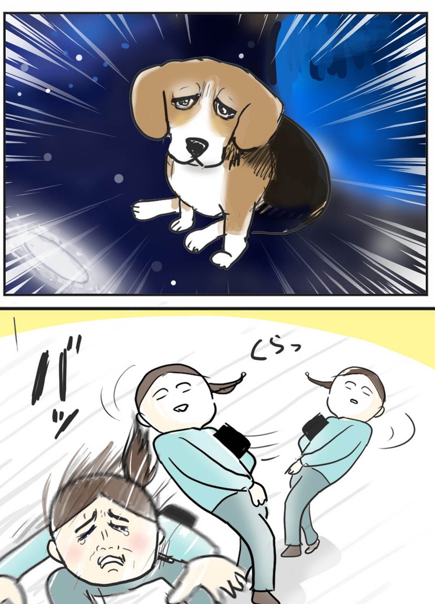 犬の吸引力🐕エグイて…

https://t.co/vE0wbLQOxZ

#コミックエッセイ #犬のいる生活 