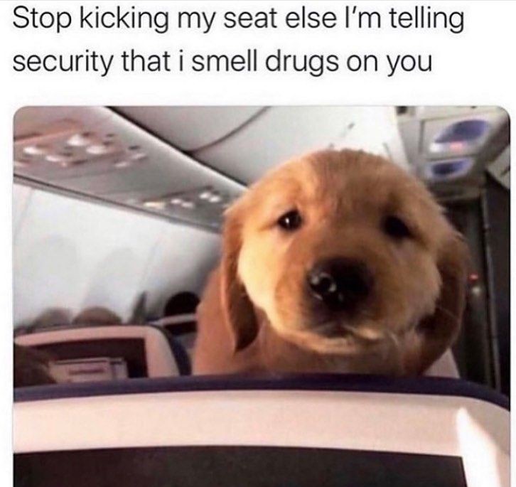 tymfly69's tweet photo. @WholesomeMeme Consider this as a warning ⚠ https://t.co/zpFMeZlle2