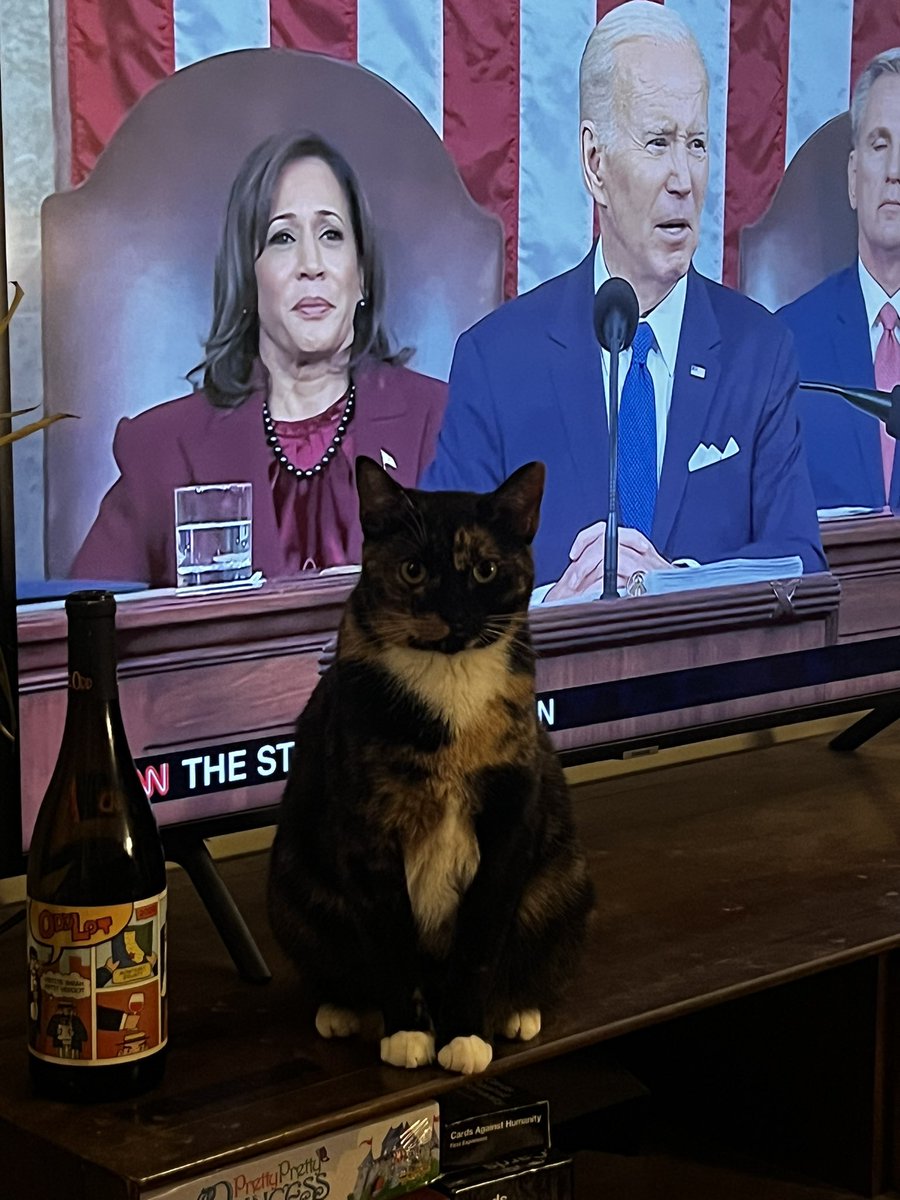 b_horne95's tweet photo. She’s presiding https://t.co/2b93mzLKhJ
