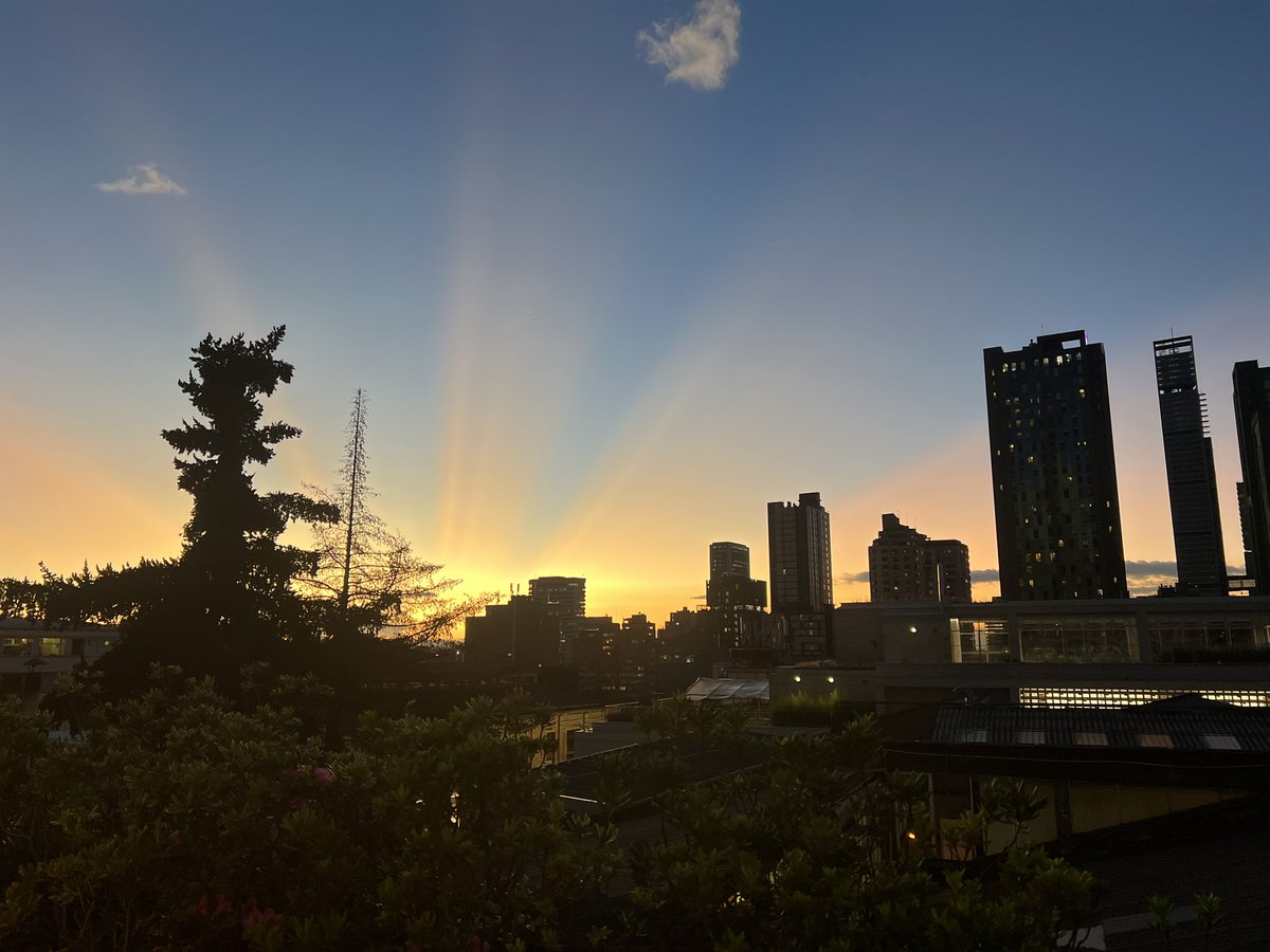 David Bigio tweet media