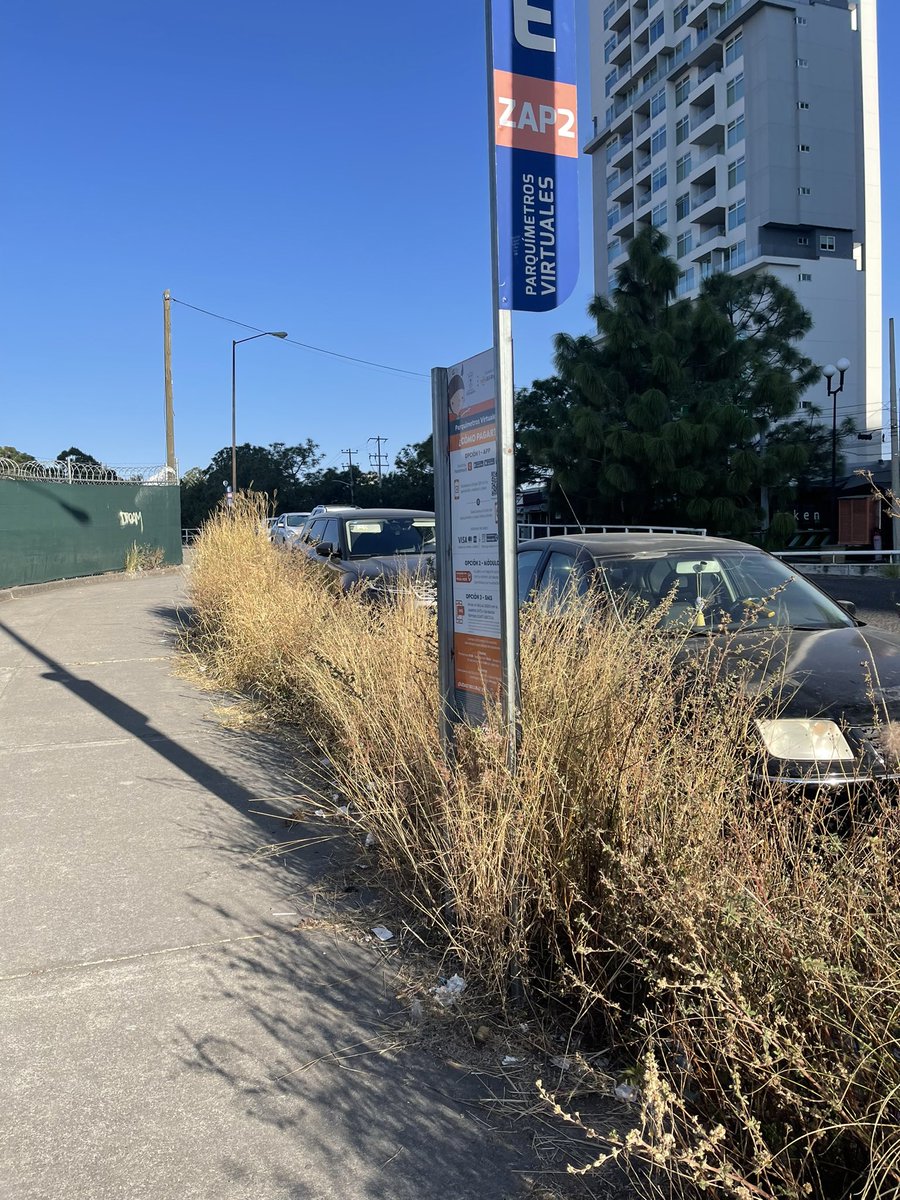 marianabafe's tweet photo. Así la banqueta de royal country a la altura del edificio cube 2. Pensarán limpiarlas algún día?? @ZapopanGob @JuanJoseFrangie @zapopan https://t.co/DVdEwIQonu