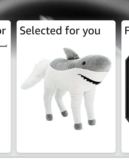 Amazon what made you think…