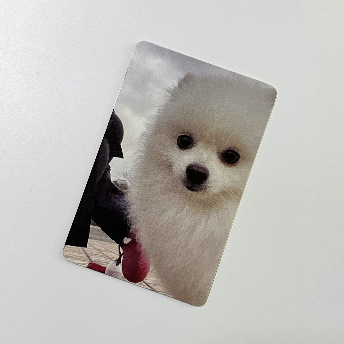 깜장콩들아 🫘🫘