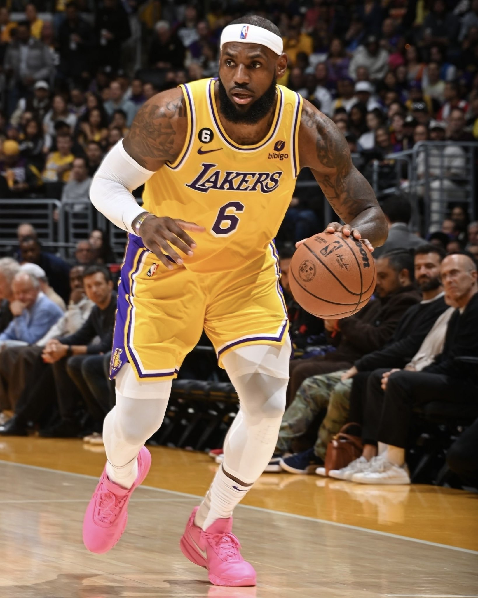 what are the newest lebrons out
