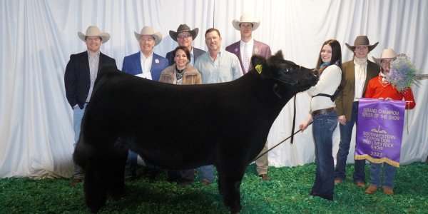 A 15-year-old girl from the Texas pan handle has been given a big boost for her future education prospects – selling her steer “Snoop Dogg” for a record US$440,000 or AU$635,000

👉 loom.ly/42uvjpE