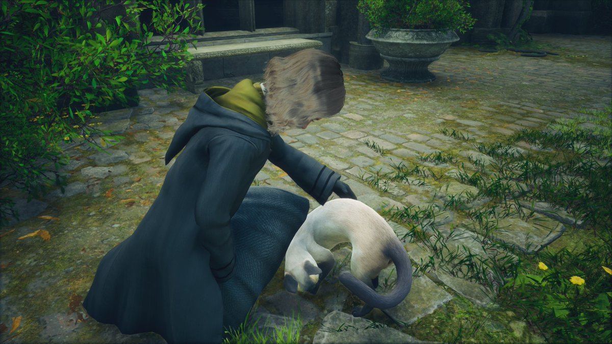 Pump_kyn's tweet photo. Stopping for every cat I see 🐱 

#HogwartsLegacy #hufflepuff https://t.co/EFFNlk8KCD