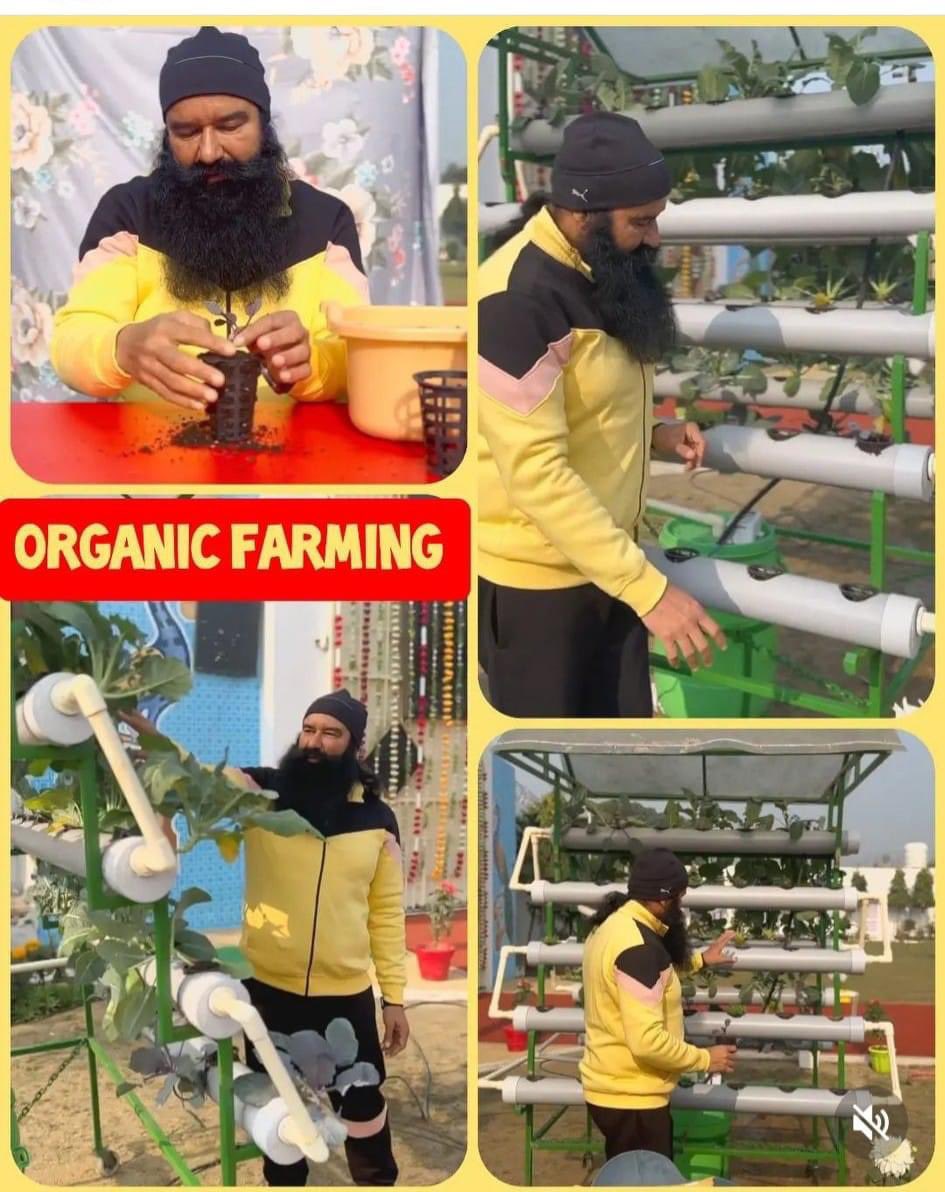 nishu4578's tweet image. Saint Dr @Gurmeetramrahim Ji Insan provides tips to improve sub-fertile lands and also to practice #OrganicFarming &amp;amp; #AdvancedFarming. This is especially useful in areas with less water.
#OnlineGurukul