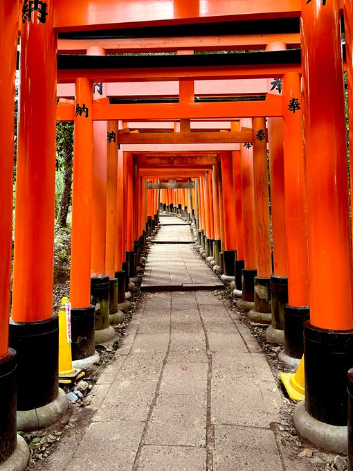 「神社 鳥居」のTwitter画像/イラスト(新着)｜4ページ目