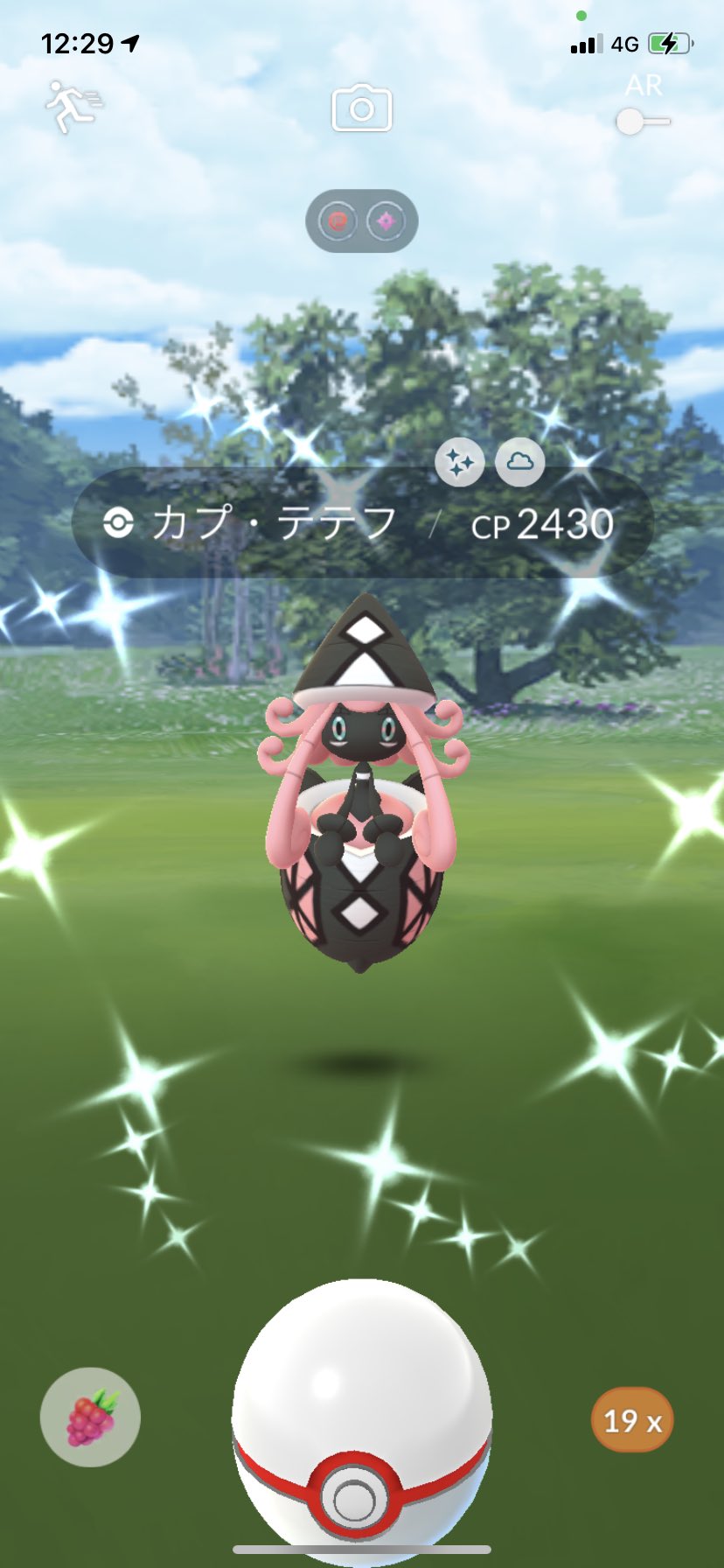 チコ ポケモンgo 新潟 Mozuyapoke Twitter