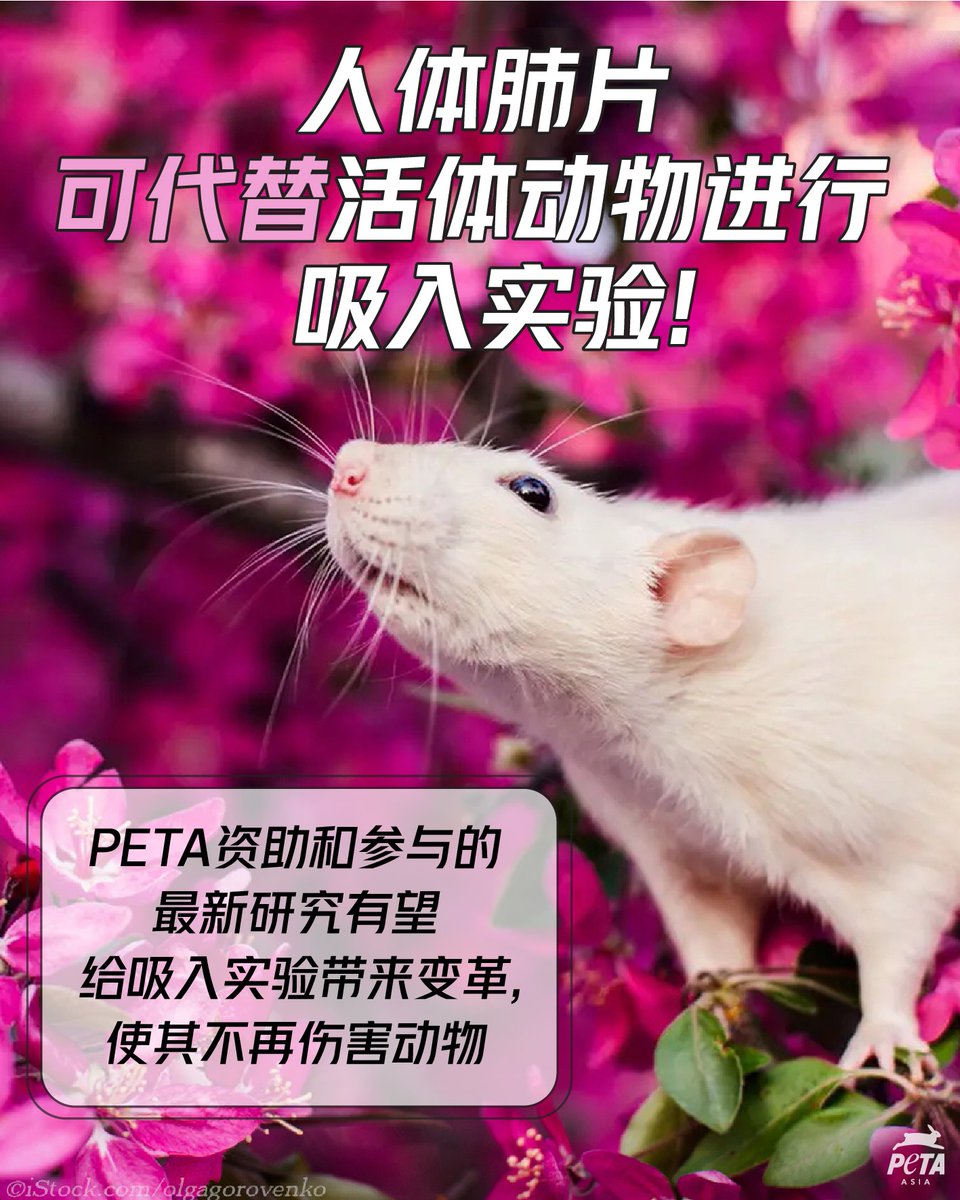 Lucretia Cornelia on Twitter "你疑似有点极端了.jpg"