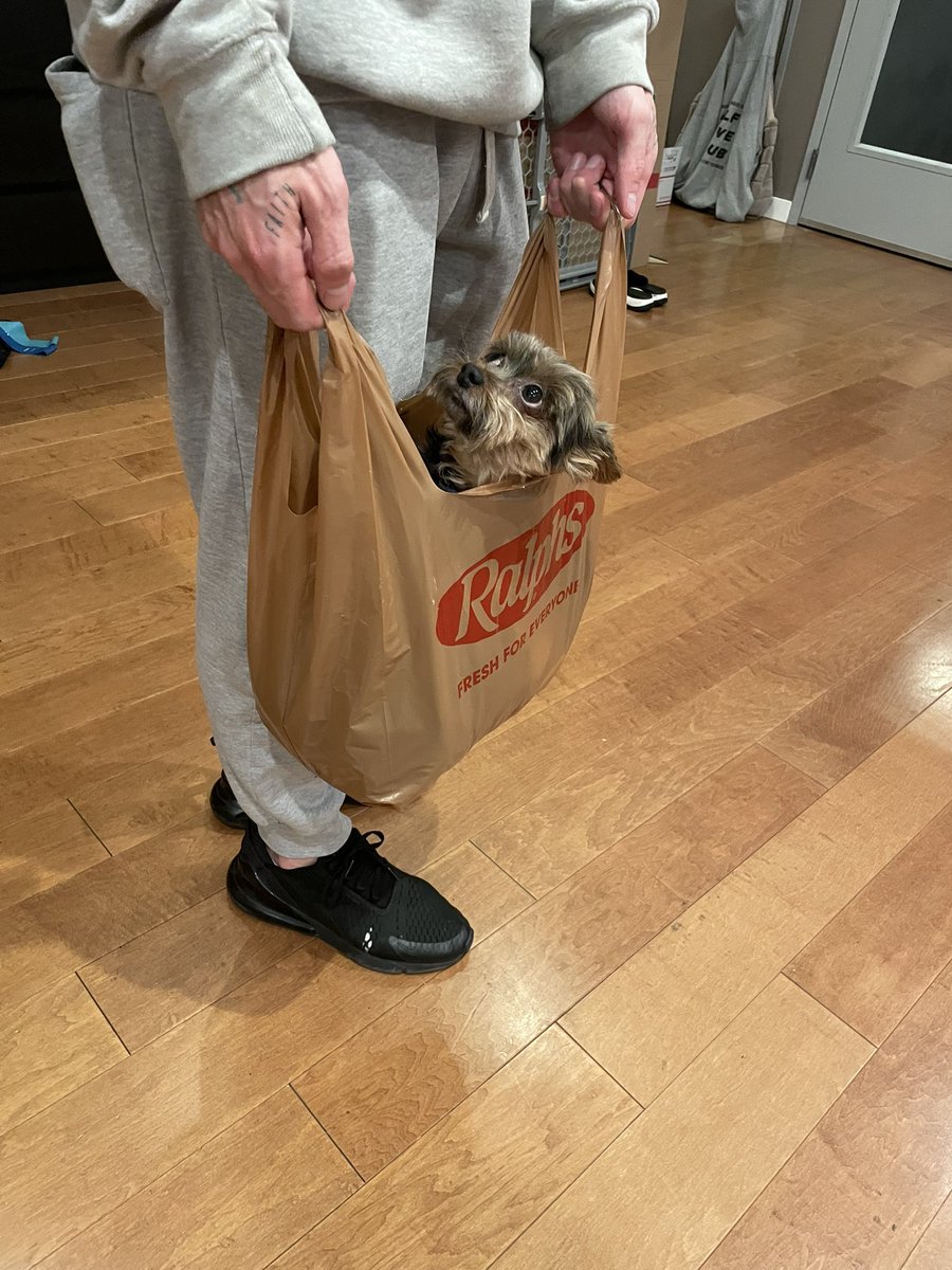 AndreaRussett's tweet photo. Your instacart order has arrived https://t.co/qIreaTXbOg