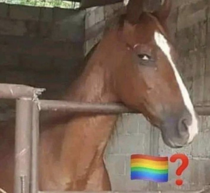 raithefruitguy's tweet image. staring at everyone in this goddamn party