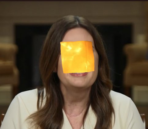 tweetsnotreal's tweet photo. @grocerieswegner extra cheese, aisle 2 #BrieBest, sarah ๐ง@tweetsnotreal
@dannotdaniel https://t.co/L7QhHEzn1O