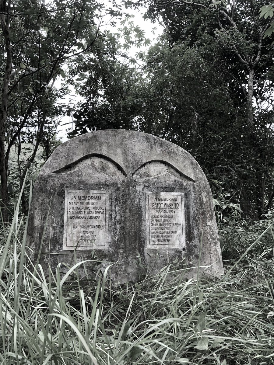 rumangsane tweet media