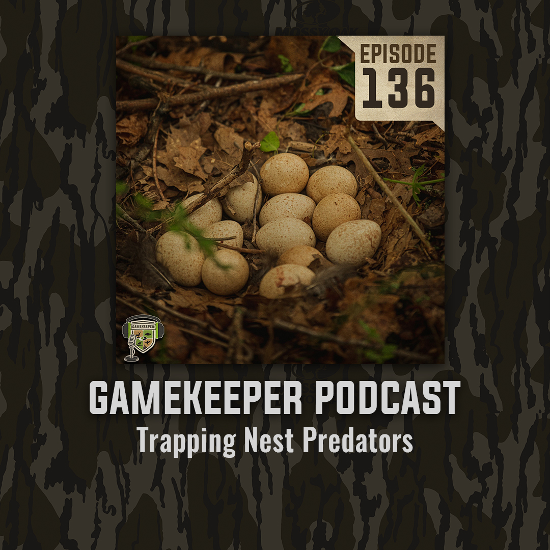 This week we welcome Duke Traps owner Bill Duke and world class trapper Cody Shows to the studio to sit between the turkeys and talk trapping. mossyoakgamekeeper.com/podcasts/ep136…