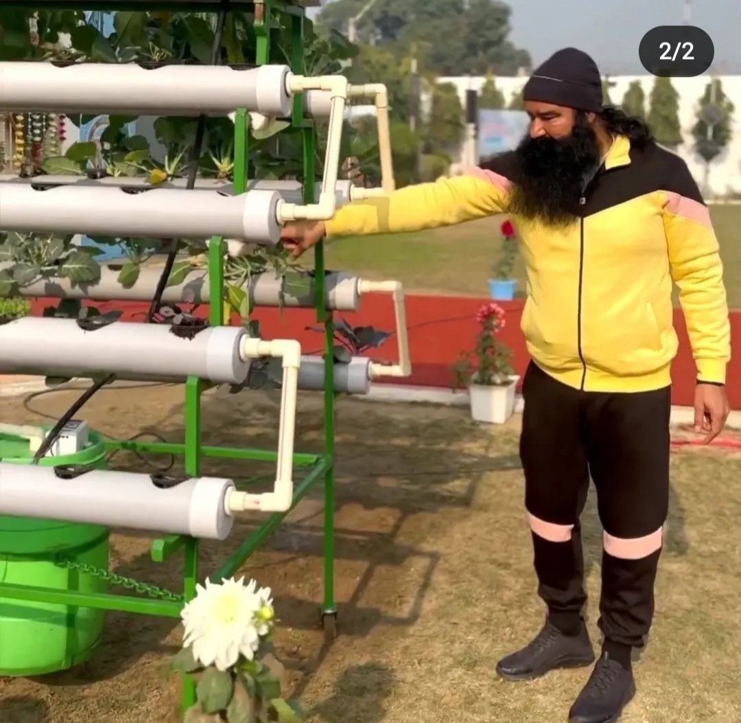 ngarg77's tweet image. छोटे-छोटे घरों में जहां परिवार ही मुश्किल से रहते हैं वहां खेती करना हमें नामुमकिन होता है परंतु saint @Gurmeetramrahim ji ने बहुत ही कम जगह और कम पानी की सहायता से ऑर्गेनिक खेती करने का तरीका बताया जिससे हम घर पर ही ऑर्गेनिक फसलें उगा सकते है
#AdvancedFarming
#organicfarming