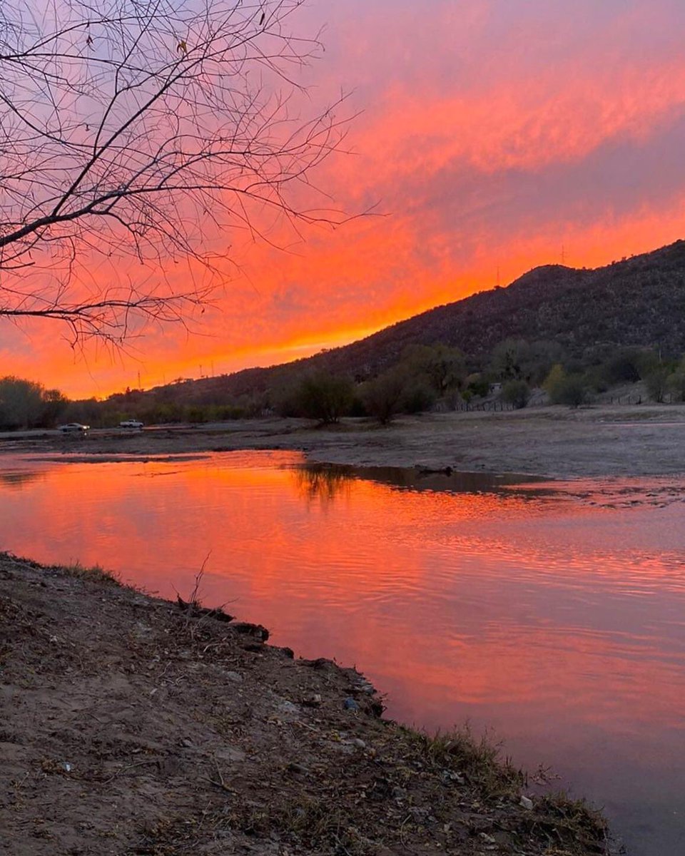 CaborcaProduce's tweet photo. Así se vio el atardecer en el río del #pueblomágico Magdalena de Kino, #Sonora ✨🌅

#visitsonora #visitmexico #seeyouinsonora #presumosonora #travel #travelphotography #pueblomagico #magictown https://t.co/PimalxWHgh