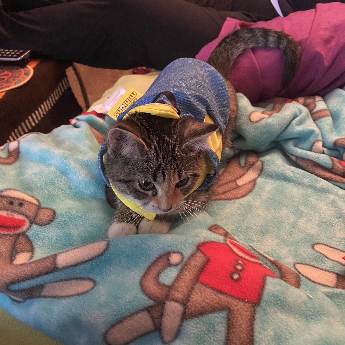 Tinkerbellala27's tweet photo. Last year’s Halloween costume👻 #minion #spooky #Halloween2022 https://t.co/HSjnL1HMn4