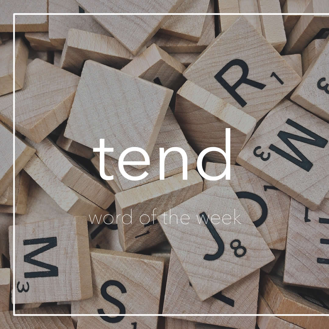 triploinc's tweet photo. 今週の #WOTW は ”tend”です. “Tend” is a verb with two very different meanings. Let’s find out what they are:
:
https://t.co/1PRy4rWYCc
:
​​#英単語 #英語学習 #英会話 #英語の勉強 #英語 #クリエイティブラーニング英会話 #新宿御苑前 #英会話スクール #eigo #learnenglish https://t.co/0YKkeiUlnZ