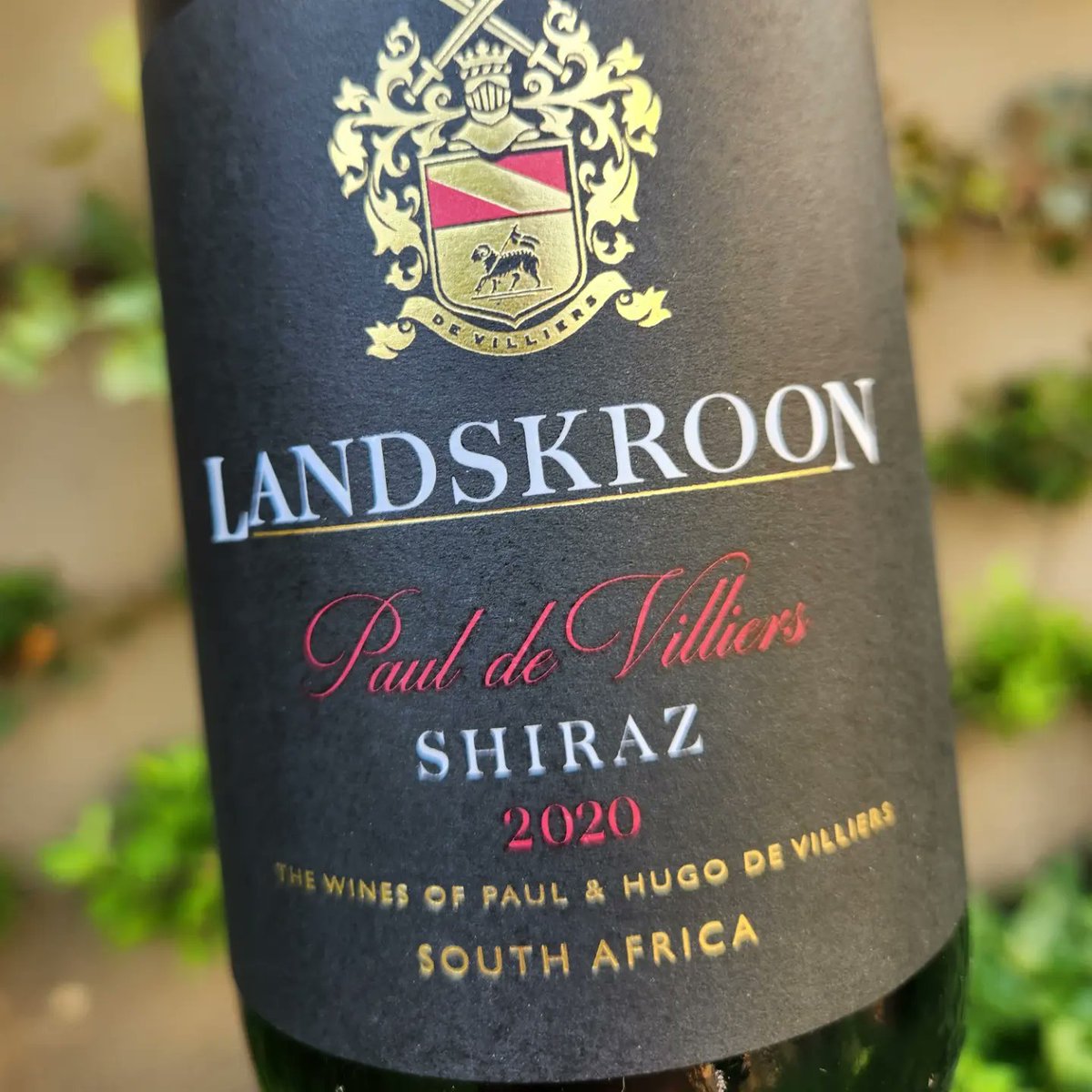 capewinereview's tweet photo. Landskroon Paul de Villiers Paarl Shiraz 
2020

An outstanding Paarl Shiraz

Gorgeous now and up to 2029 

#MC93

#MiguelChan #Wine #SouthAfrica #Paarl #SanDeck #Landskroon #Africa #Shiraz #Redwine #Syrah #Sommelier #Sandton #winelist #African #PauldeVilliers #SouthAfrican #Bar https://t.co/VjGuCW3WnF