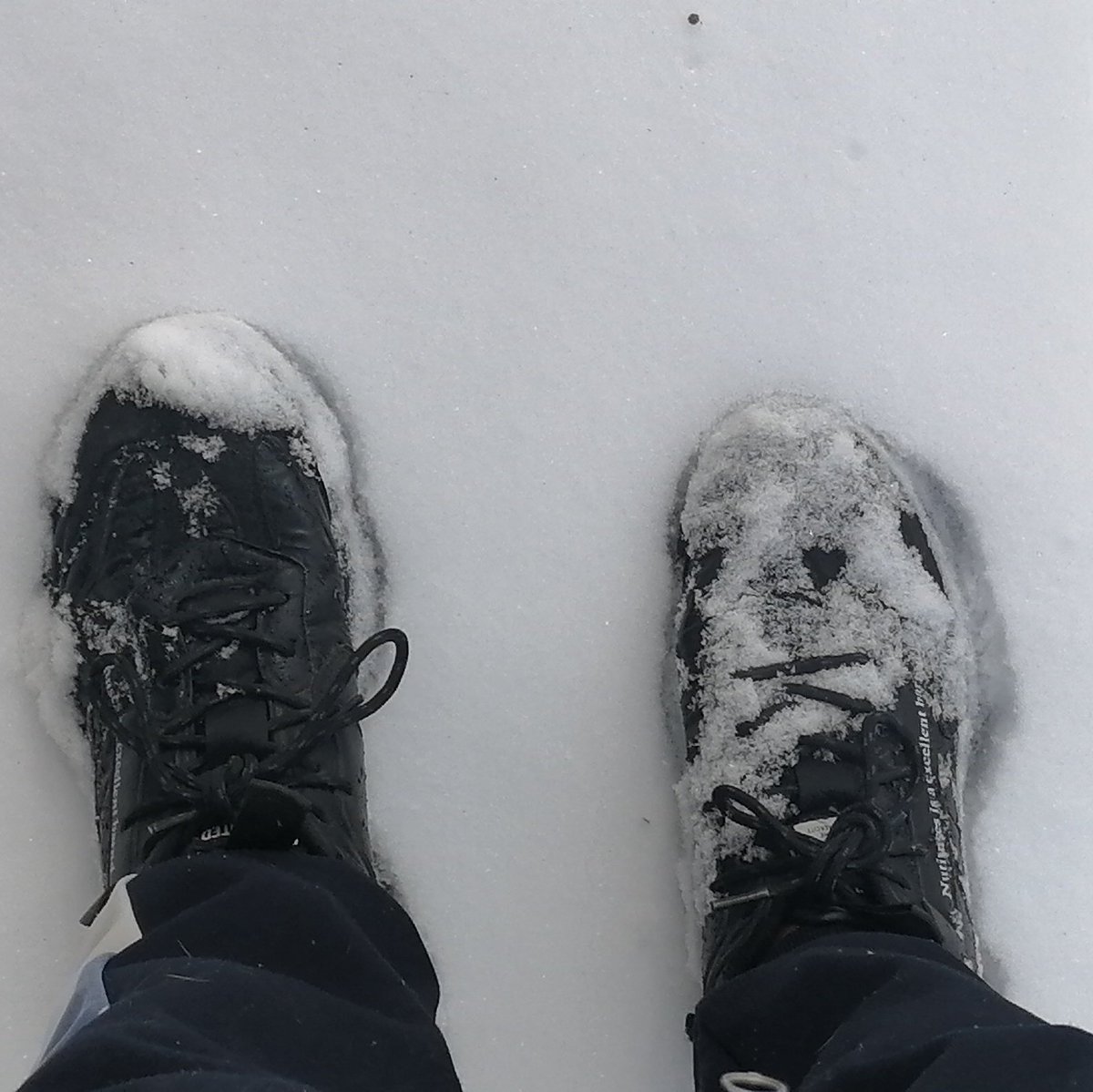 я конечно люблю снег, но не от всего сердца.