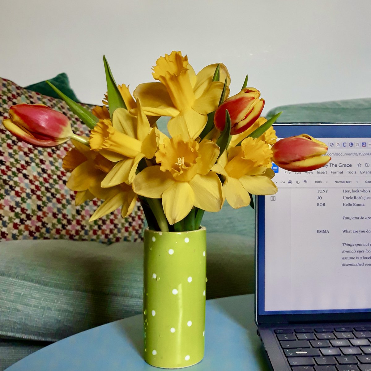 Nothing like a little promise of Spring when you're winter-writing!
#womenwriting #writerslife #womenplaywrights #joy #womensvoices #wearehere #halfthesky #welshwriters #welsh #writers
@PrimadonnaFest @ShermanTheatre
