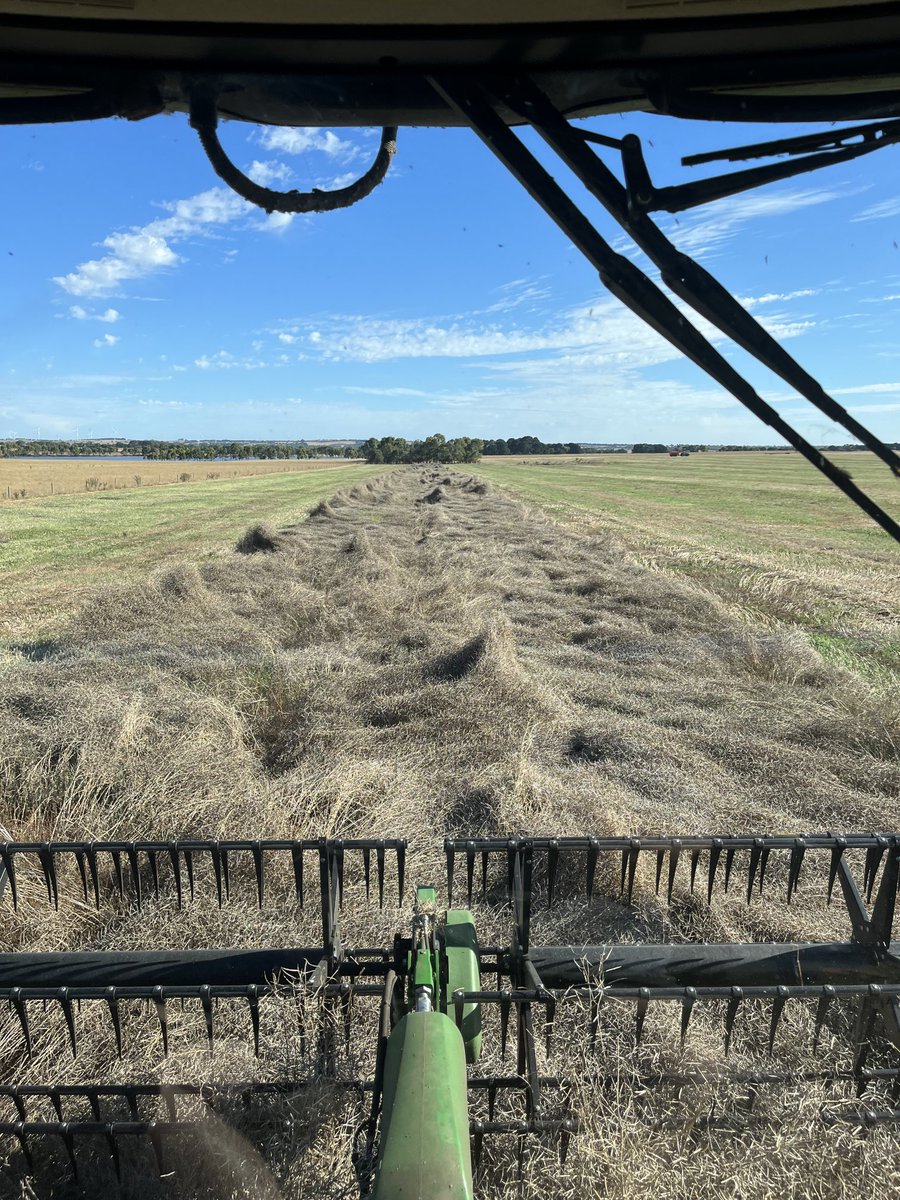 2Stacky's tweet image. Harvest cutout that took a while 🍻🍺