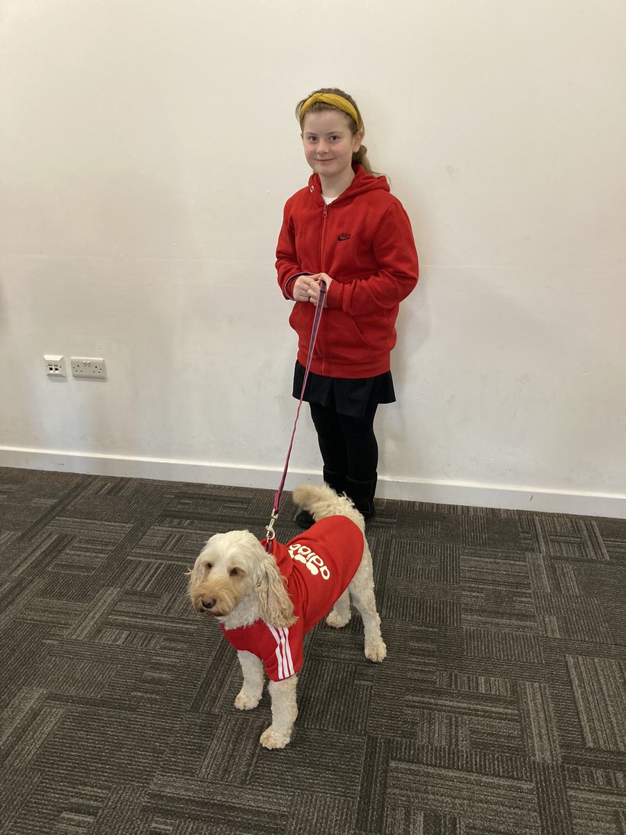 CliftonCoHead's tweet photo. Bella is delighted with her #addidog tracksuit gift! She is ready for her @_thedailymile now! @CliftonPrim @TheDogMentorUK https://t.co/6niqDbG76t