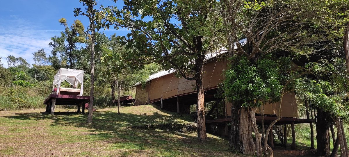 BushWalksCamps's tweet photo. Thank you so much for your genuine feedback &amp; recommendation Saskia VM.  Especially about our staff services, experiences, accommodation &amp; last but not least the food &amp; ambience. We work hard to meet expectations like yours, and we’re happy to hear we hit the mark for you. https://t.co/TAaQMmOA5v