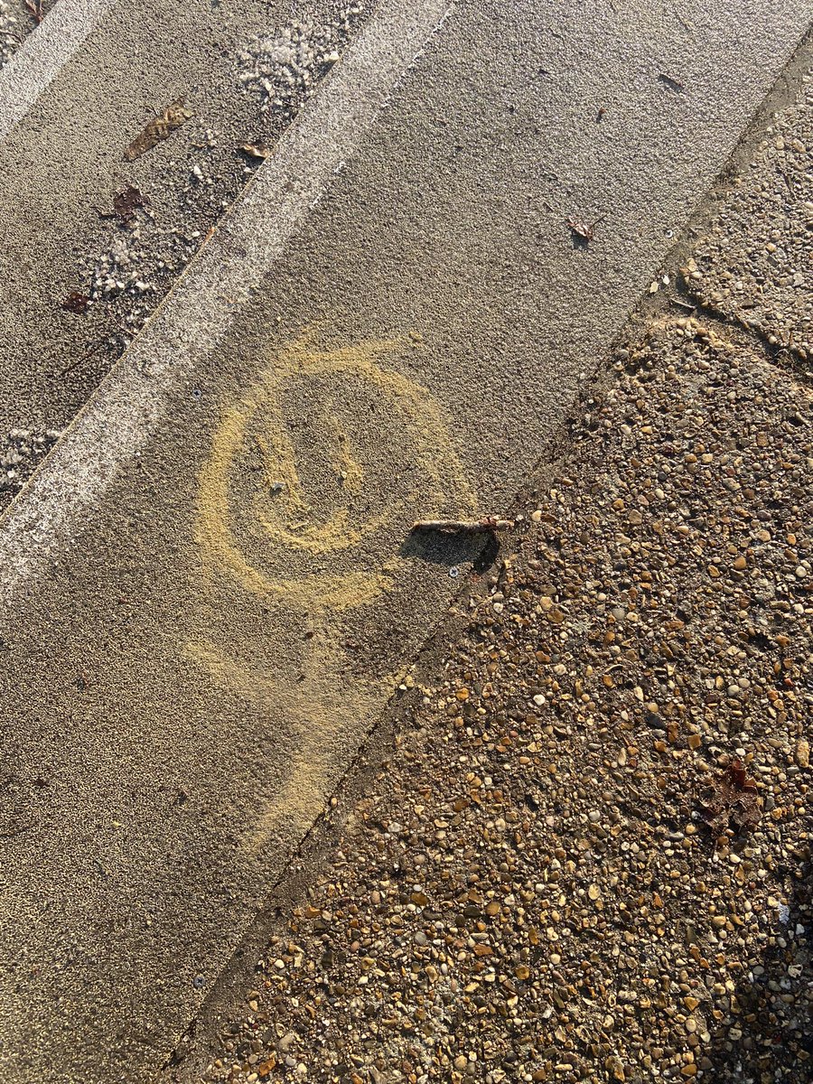 IHS_RS's tweet image. More Taskmaster day 3; make the best self portrait from items you find outside. Some early completions….
@TaskmasterEdu @Place2Be #CMHWTasking #ChildrensMentalHealthWeek @IpswichHigh @mrdbrowning