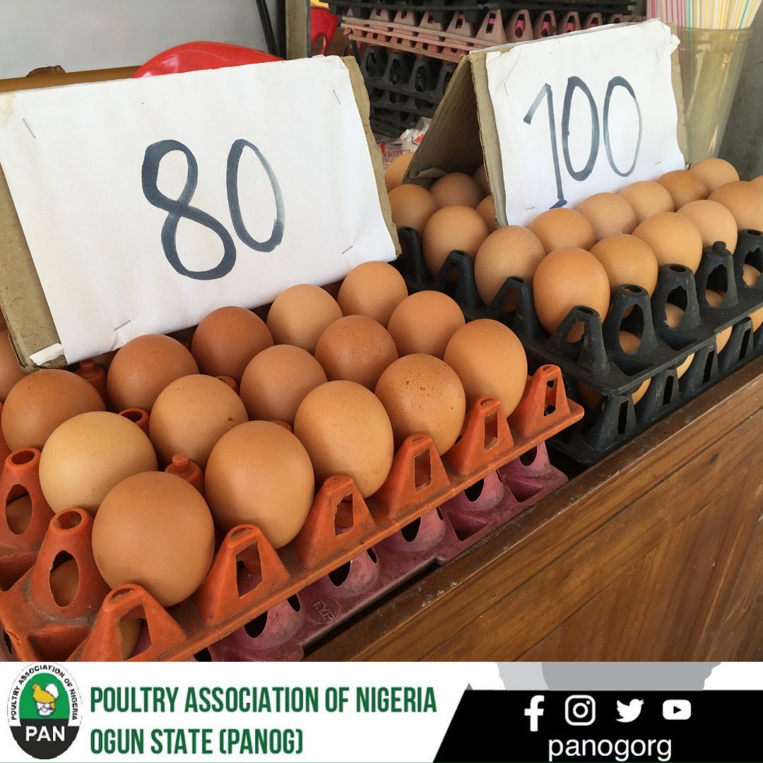 panogorg's tweet photo. What's the current price of egg in your area?
#panog #pan #eggs #sales #marketing https://t.co/kJSmTJd6Tw