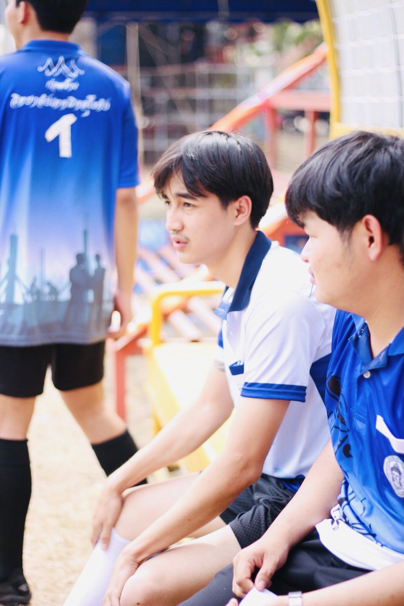 แมวขนสีรุ้ง tweet media