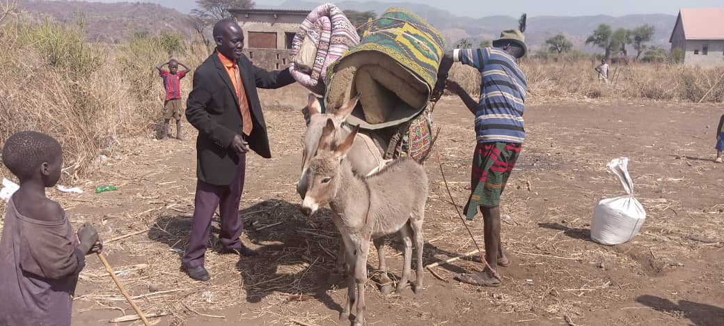 Longpes's tweet photo. A Kaabong P/S teacher on a transfer ties his belongings on a journey from Kathile PS to Morukori PS, a journey of 20KMs.

Kaabong district was the worst performing in last year's PLE exams.

@4_Tofkaramoja @VLokol @PLokubal @LoyepSteve @SpireJim https://t.co/QYWH1fBCna