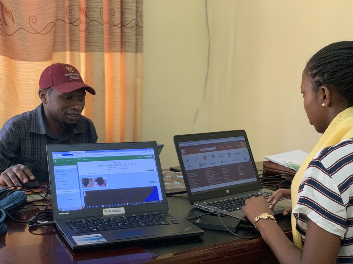 Rwanda Biodiversity Information System tweet media