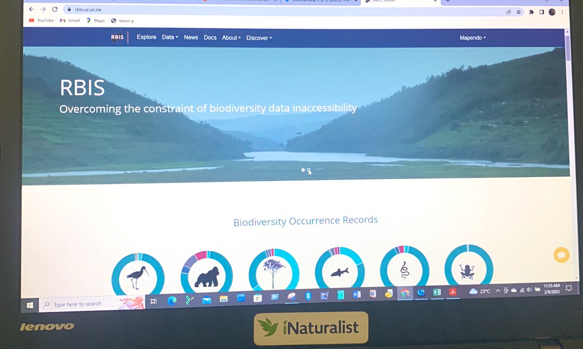 Biodiversity data management in #Rwanda @CoEB - the current emphasis includes the digitization of butterflies and ants of Rwanda. The system will be able to produce species location maps and associated spatial layers.