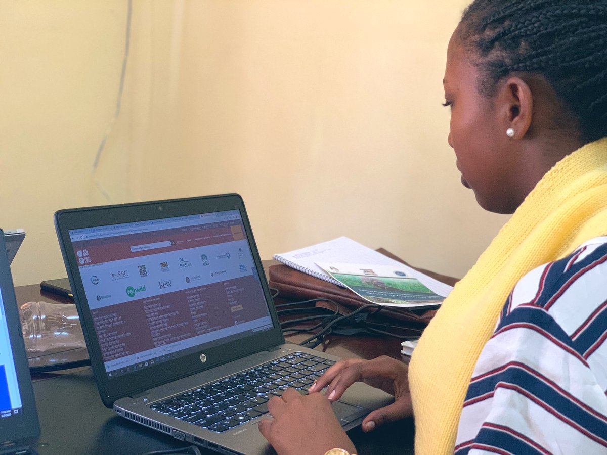 Rwanda Biodiversity Information System tweet media