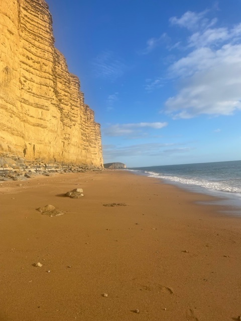 JSBridport's tweet photo. Some lovely photos taken on a recent lunchtime walk along the glorious #jurassiccoast, in #BurtonBradstock and #Eype.
#dorset #eypebeach #dorsetwalks #coast #westbay #hivebeach #dorsetlife #lunchtimewalk
@VisitWestDorset @westdorsetmag @jurassicguides @westbayuk @DorsetLifeMag https://t.co/HSUGN1ZhMW