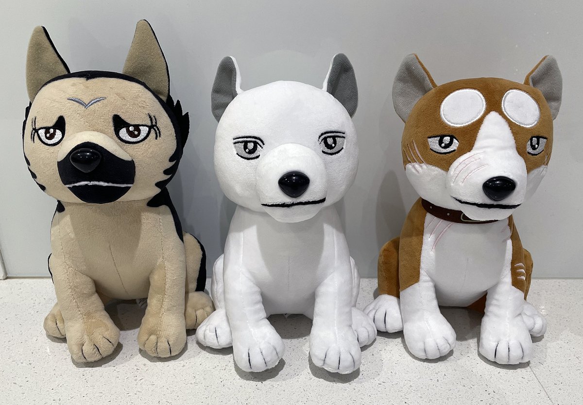 KasiKek's tweet photo. FaNeMa John, Akame and Riki have arrived!
#ginga #FaNeMa  #銀牙 https://t.co/dYtvX6k28i